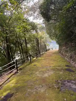 波豆八幡神社の自然