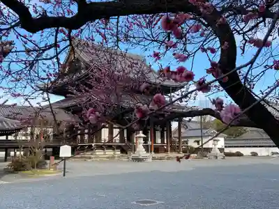 興正寺(京都府)