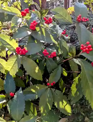 横浜　西方寺(神奈川県)