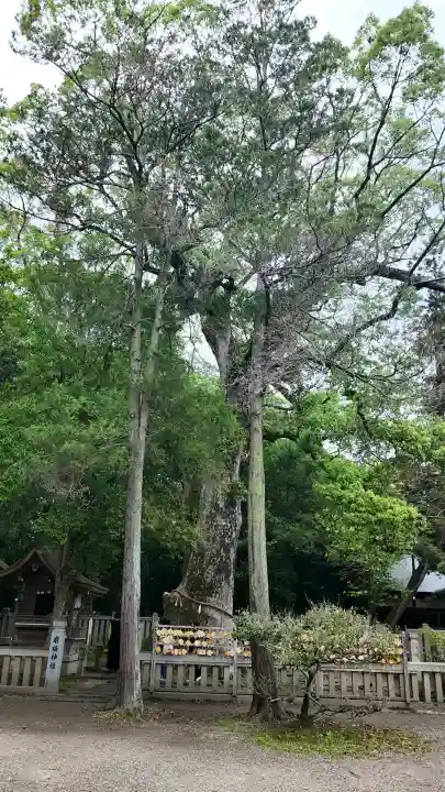 伊弉諾神宮の{uncategorized: "未分類", other: "その他", undefined: "問題あり", building: "その他建物", grave: "お墓", sacred_gate: "鳥居", guardian: "狛犬", statue: "像", buddha: "仏像", history: "歴史", nature: "自然", garden: "庭園", animal: "動物", pagoda: "塔", temizu: "手水舎", mountain_gate: "山門・神門", sanctuary: "本殿・本堂", subordinate: "末社・摂社", art: "芸術", scenery: "景色", jizo: "地蔵", ema: "絵馬", goshuin: "御朱印", omikuji: "おみくじ", items: "授与品その他", amulet: "お守り", goshuincho: "御朱印帳", eats: "食事", festival: "お祭り", votive_dance: "神楽", shichigosan: "七五三参", wedding: "結婚式", experience: "体験その他", initially: "初詣", around: "周辺", anti_infection: "感染症対策"}