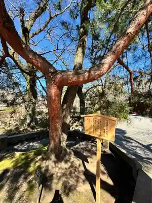 三嶋大社(静岡県)