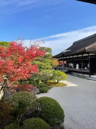 仁和寺(京都府)