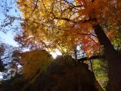 行道山 浄因寺(栃木県)