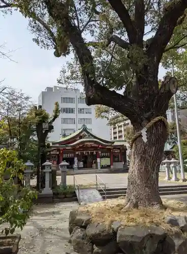 豊崎神社のその他建物