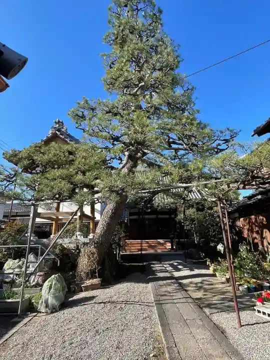 円光寺(滋賀県)