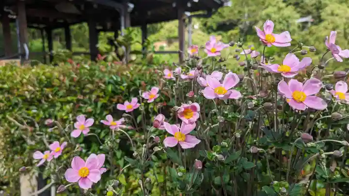 善峯寺(京都府)