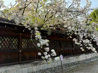 平野神社(京都府)