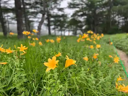 山の神神社(長野県)