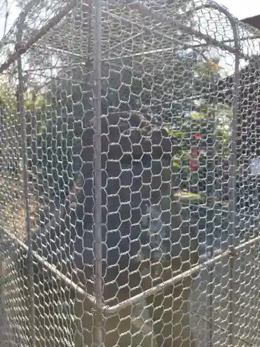 御霊神社(東京都)