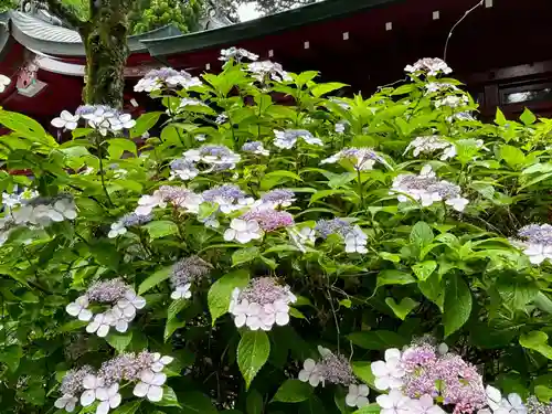 箱根神社(神奈川県)