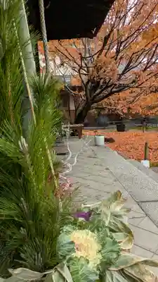 勝林寺(京都府)