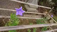 御霊神社の自然