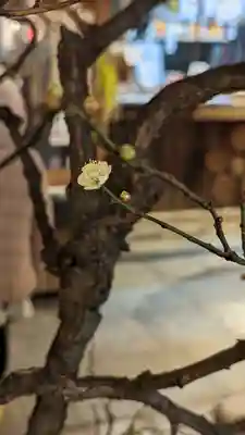 錦天満宮(京都府)