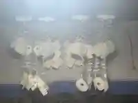 温泉神社(岩手県)