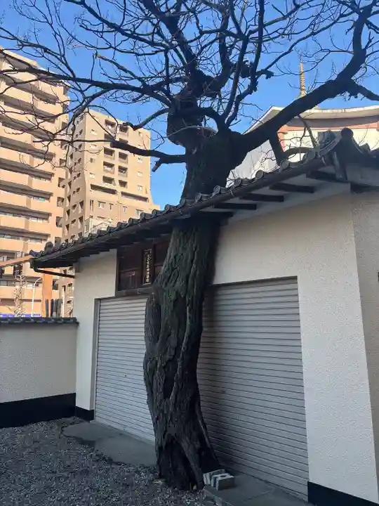 真源寺(入谷鬼子母神)(東京都)