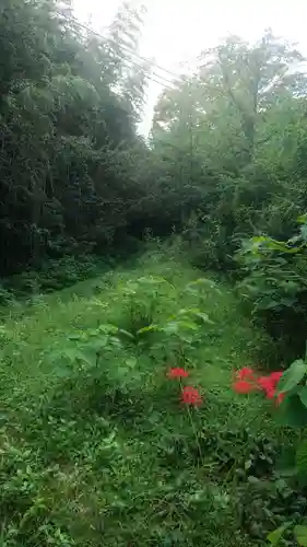 龍宮之宮の自然