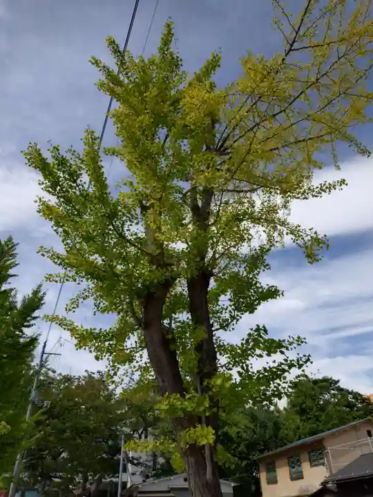 阿邪訶根神社(福島県)