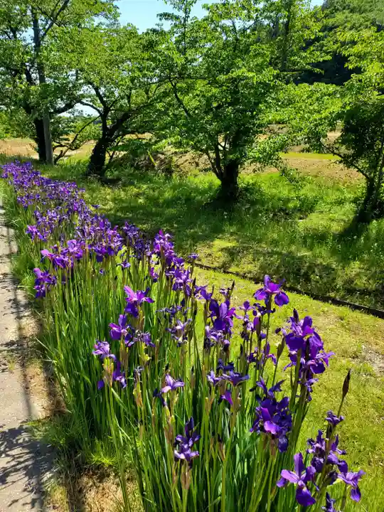 高司神社〜むすびの神の鎮まる社〜(福島県)