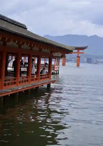 厳島神社(広島県)