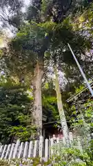 白石神社(福井県)