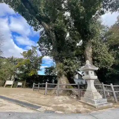 春日神社(福岡県)