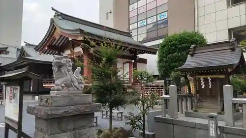 柏神社の狛犬