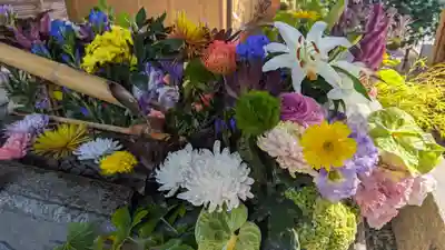 勝林寺(京都府)