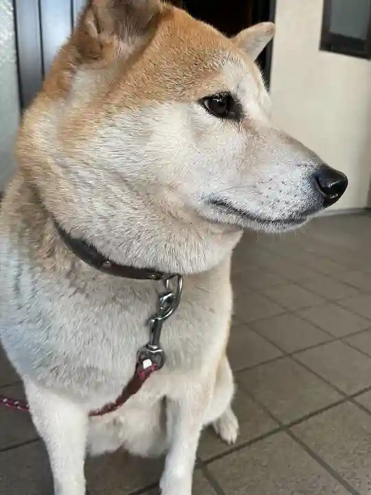 笠䅣稲荷神社(神奈川県)