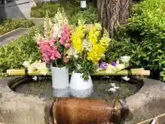 伊和志津神社の手水