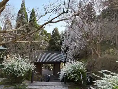 忉利天上寺(兵庫県)