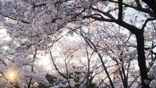 菅原神社(大阪府)