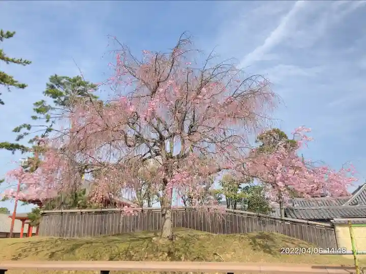 興福寺(奈良県)