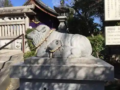 羊神社の狛犬