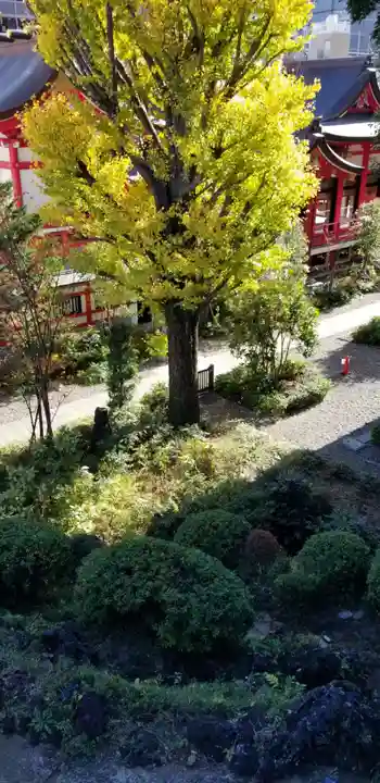 成子天神社の景色