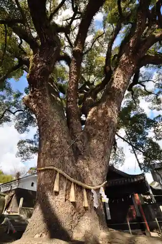 艮神社(広島県)