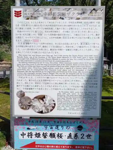 願成寺のその他建物