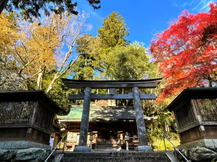 丹生川上神社(下社)の鳥居