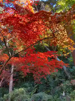 本土寺(千葉県)