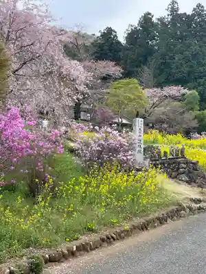 龍珠院(東京都)