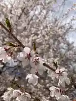 実相寺(山梨県)