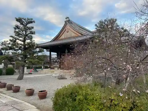 妙蓮寺(京都府)