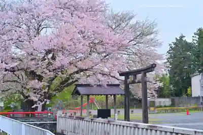 冨知神社(静岡県)