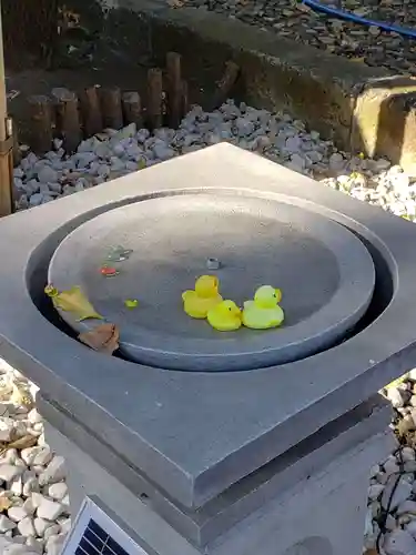 高円寺氷川神社の庭園