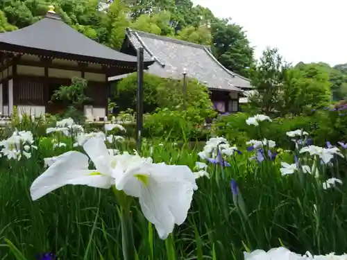 天台宗　長窪山　正覚寺の自然