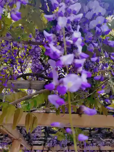 金蛇水神社(宮城県)