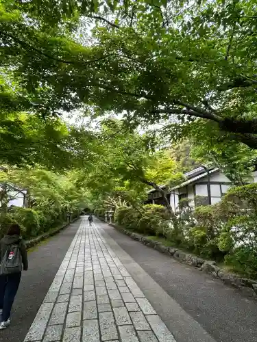 石山寺の{uncategorized: "未分類", other: "その他", undefined: "問題あり", building: "その他建物", grave: "お墓", sacred_gate: "鳥居", guardian: "狛犬", statue: "像", buddha: "仏像", history: "歴史", nature: "自然", garden: "庭園", animal: "動物", pagoda: "塔", temizu: "手水舎", mountain_gate: "山門・神門", sanctuary: "本殿・本堂", subordinate: "末社・摂社", art: "芸術", scenery: "景色", jizo: "地蔵", ema: "絵馬", goshuin: "御朱印", omikuji: "おみくじ", items: "授与品その他", amulet: "お守り", goshuincho: "御朱印帳", eats: "食事", festival: "お祭り", votive_dance: "神楽", shichigosan: "七五三参", wedding: "結婚式", experience: "体験その他", initially: "初詣", around: "周辺", anti_infection: "感染症対策"}