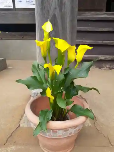 伏木香取神社(茨城県)