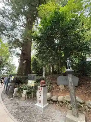高尾山薬王院(東京都)