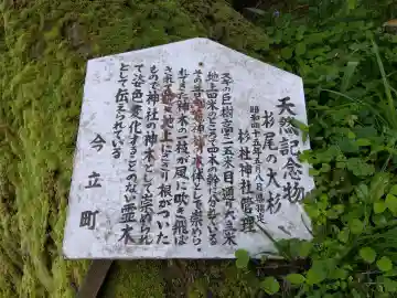 杉杜神社(福井県)