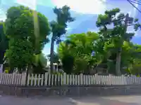 神明社(五之割神明社)の自然